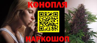 индика Краснознаменск