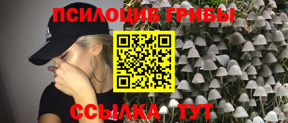 Грозный  Галлюциногенные грибы Magic Shrooms  где найти наркотики  Вход с VPN 